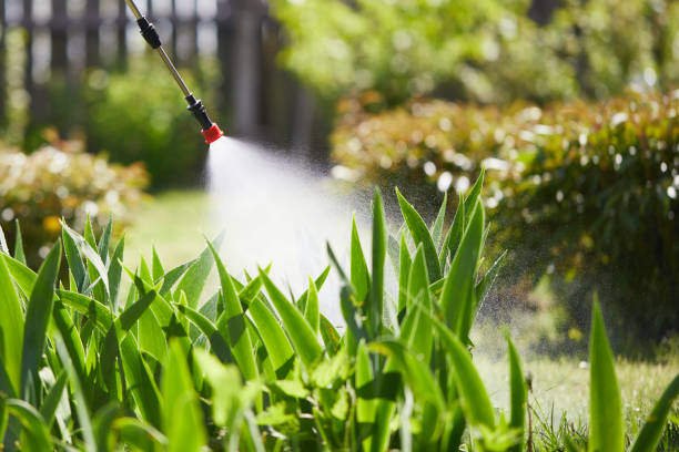 Tamper-Resistant Bait Stations for Rodents in Maumelle