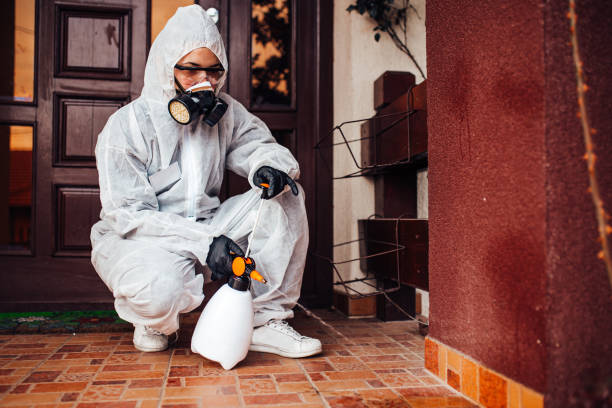 Attic and Crawl Space Rodent Treatment in Maumelle