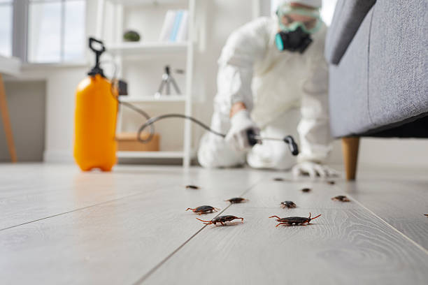 Commercial Rodent Management in Maumelle